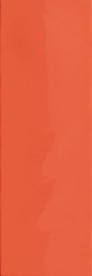 фон Superclassica SCG Riviera Lobster 5x15