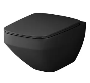 Унитаз подвесной AM.PM FlashClean с сиденьем микролифт, черный мат. C50A1700MBSC