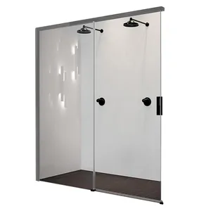 Душевая дверь Novellini 1200х2000 раздвижная, левая, прозрачное/хром OPEPH119S-1K