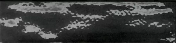 Multiforme Ossidiana  7.5X30 глянцевая