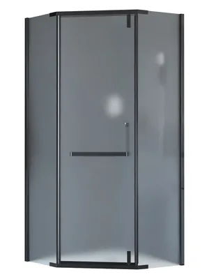 Душевой уголок RGW HO-081B (1000х1000х1950) трапеция, ст. 8мм матовое/черный 350608100-24