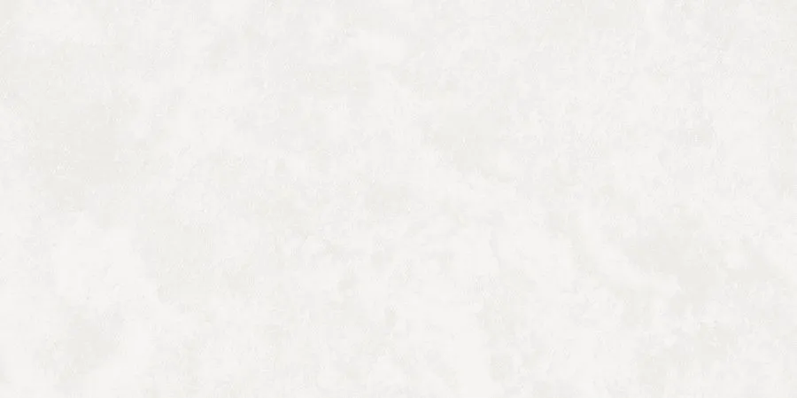 Central Park White. 60X120