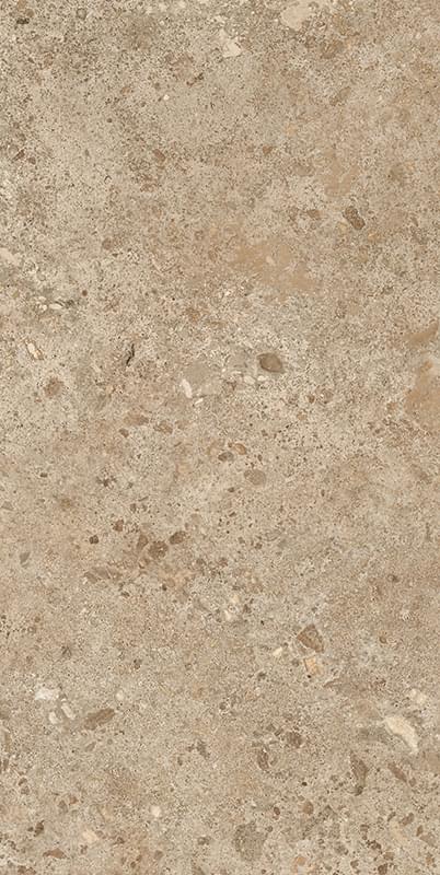фон Bierzo Moka Seda 60x120