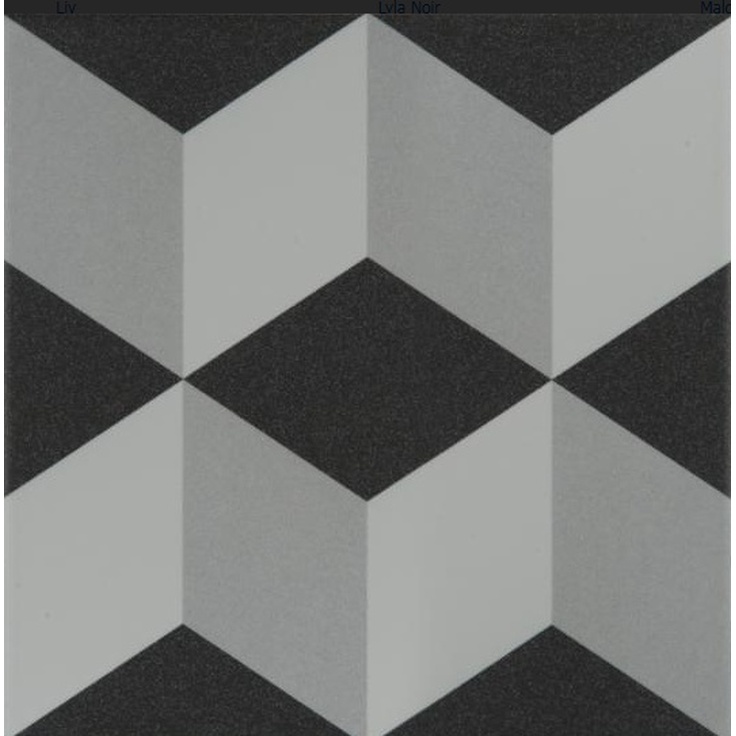 Revoir Paris La Madeleine VVS2020_013 Victor 20x20 матовая