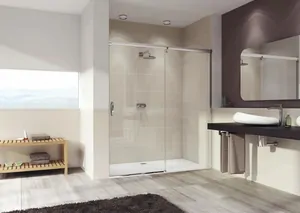 Душевая дверь HUPPE Elegance 1700х1900 правая, мат.серебро/стекло прозрачное 401509.087.321.730