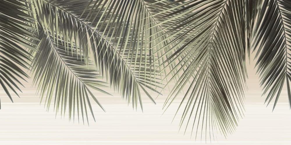Del Mare 249x500x7,5 DWU09DLM001 глянцевая