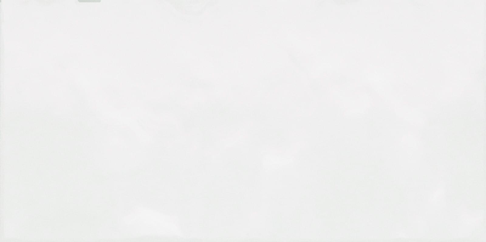 Monocolor 249x500x8, 5 глянцевая