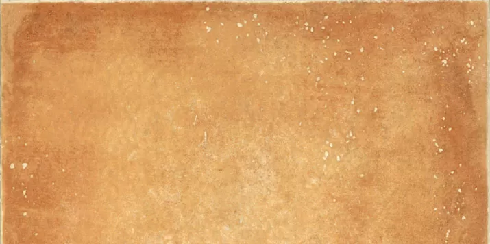 Colonial Listelo Albero 33.15X16.5 матовая