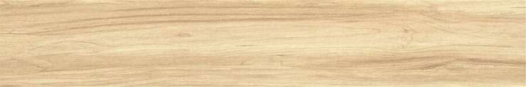 Porcelain Tile Zc 1223081 Rect. 20x120 матовая