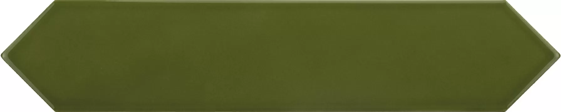 Arrow Green Kelp  25X5 глянцевая