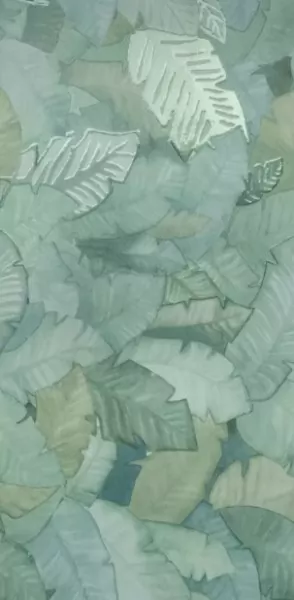 Multiforme Foliage Rt 80X40 матовая