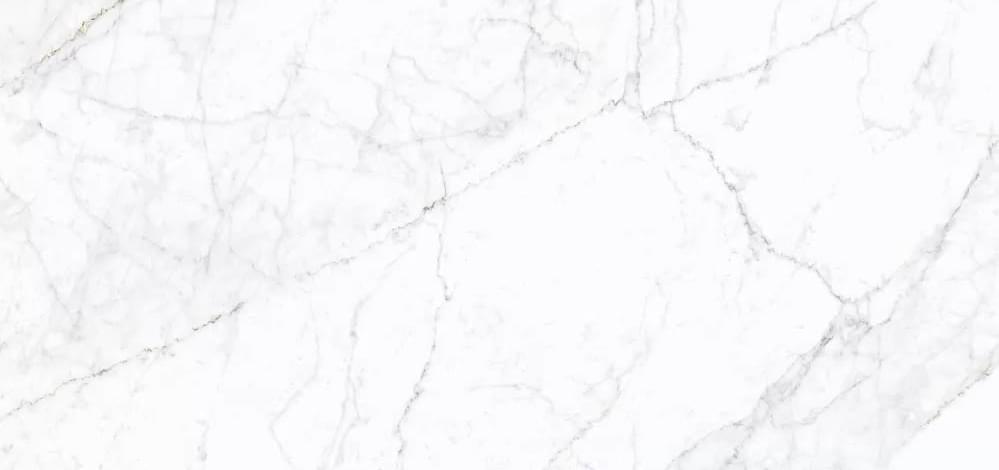фон Carrara Pg Fogg 59.8x119.8