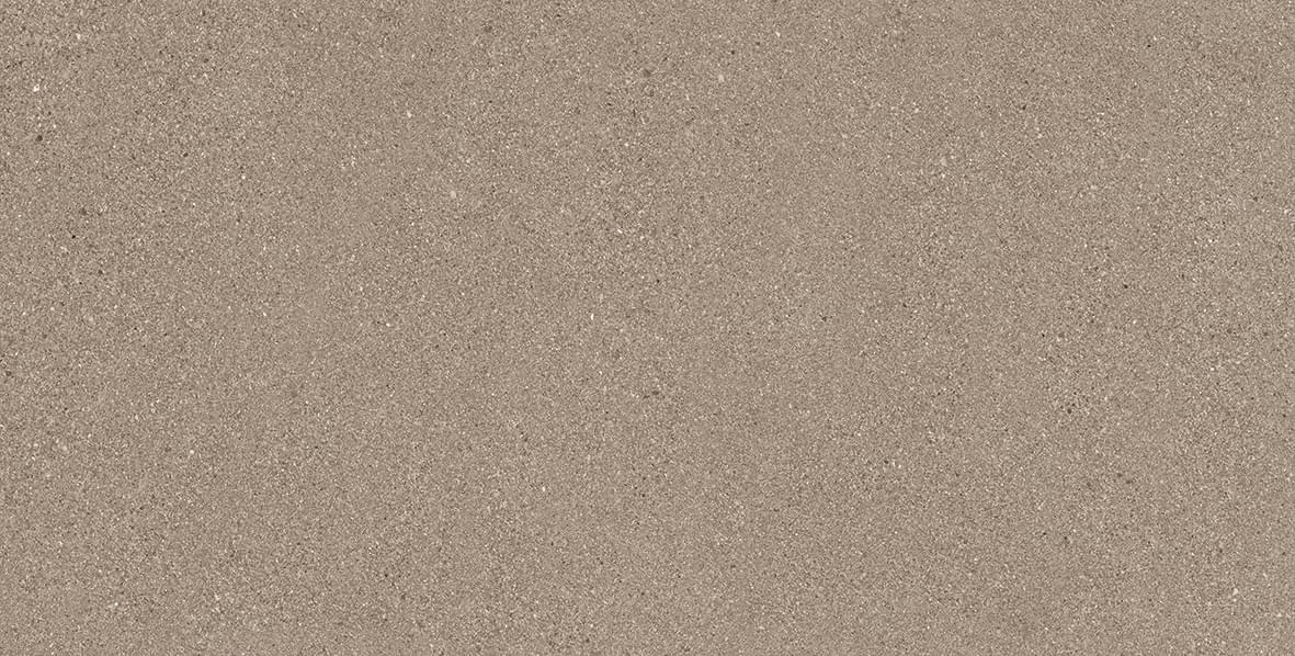 фон Grain Stone Taupe Fine Grain Naturale 60x120