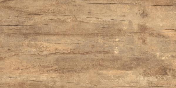 Hamton Beige 120X60 матовая