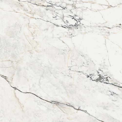 фон Aesthetica Paonazzetto Matt 120x120