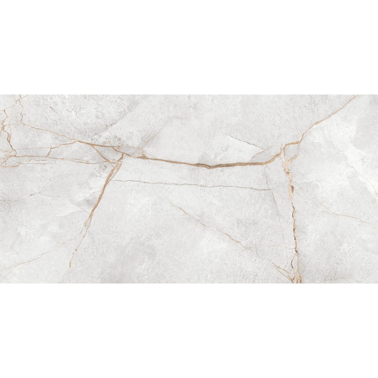 LCM Special Marmo 60120PEC15P Gray Полированный 60x120 глянцевая