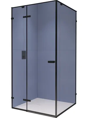 Душевой уголок RGW SV-030B (1000х1000х2000) стекло прозрачное 8мм/черный 353203000-14