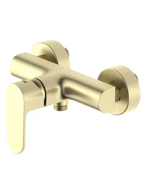 Смеситель для душа Aquatek AQ1260BG настенный, однозахватный, цвет: золото шлифованное