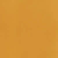 вставка Pitti Tozzetto Senape 12.2x12.2