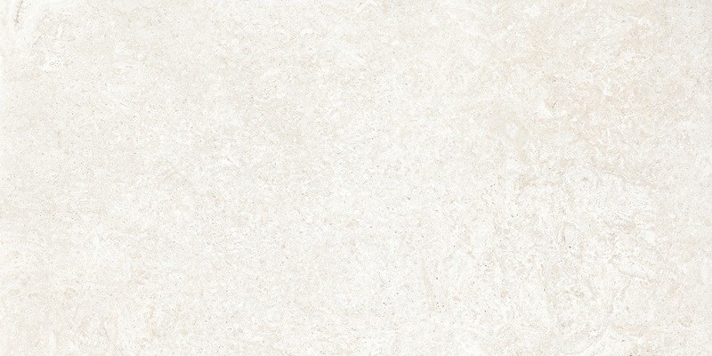 Coralstone marfil 60x120 матовая