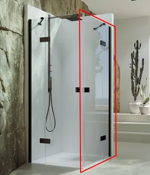 Душевая дверь для уголка HUPPE Pro 1000х2000 правая, профиль цв. RAL/прозрачное AP 7T1403998322