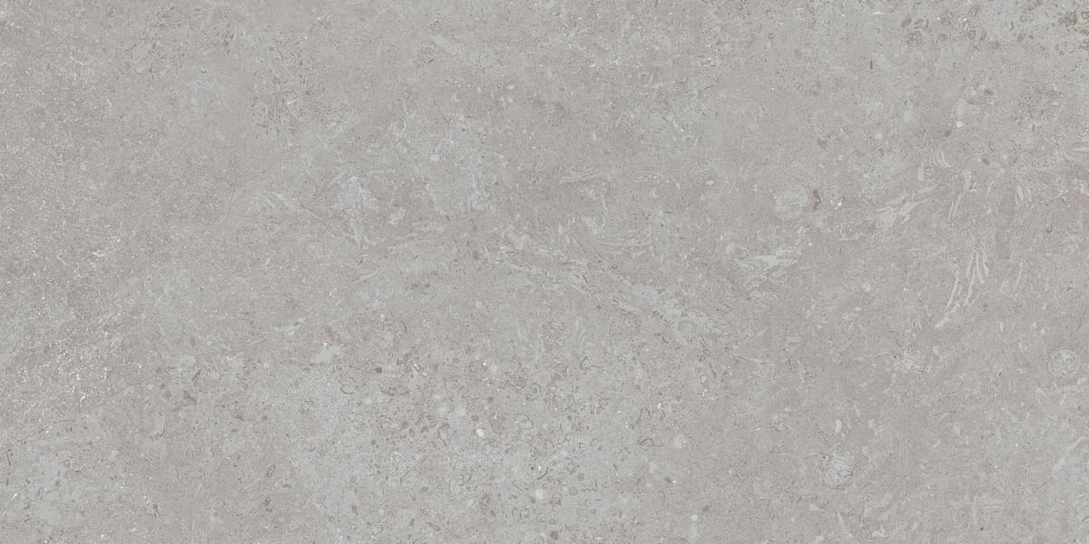 фон Batela Gris 60x120