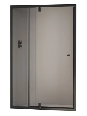 Душевая дверь RGW PA-02B NEW (800х1850) распашная, стекло 6мм прозрачное/черный 41080208-14