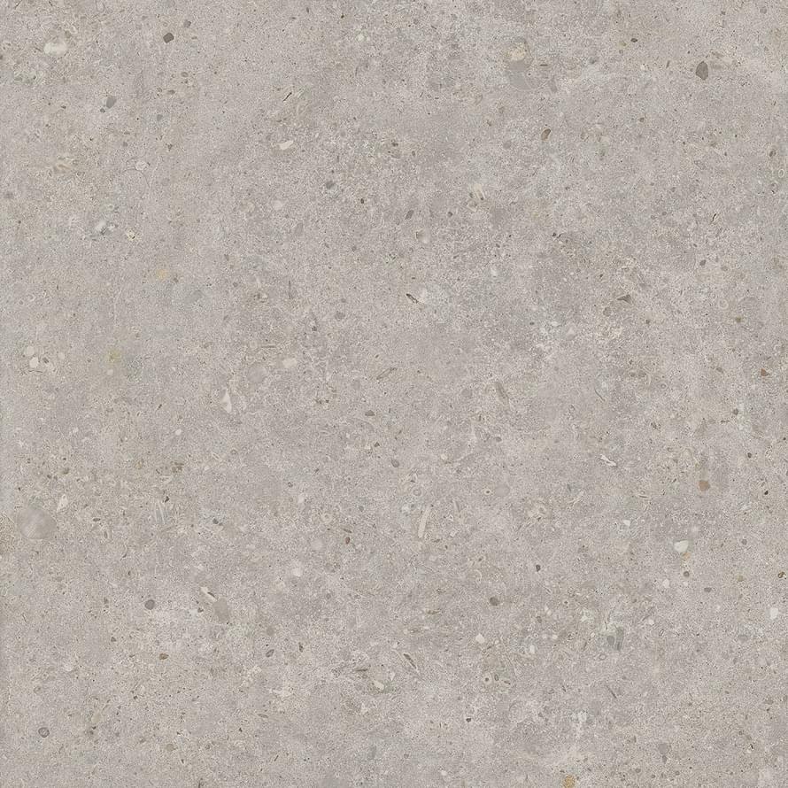 фон Риккарди Серый Светлый Матовый Обрезной 60x60