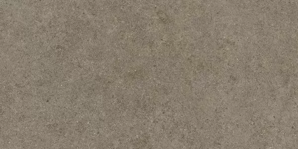Boost Stone Taupe 60X120 матовая