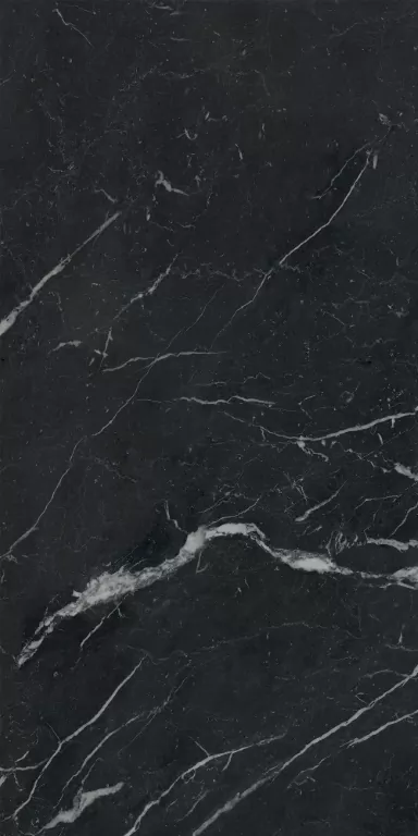 Anima Futura Unique Black Luc  120X60 полированная