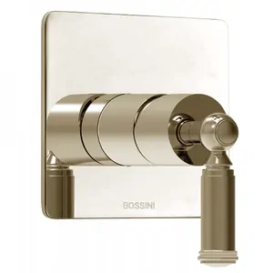 Смеситель для душа Bossini Z00067.094 встраиваемый, внешняя часть, никель шлифованный