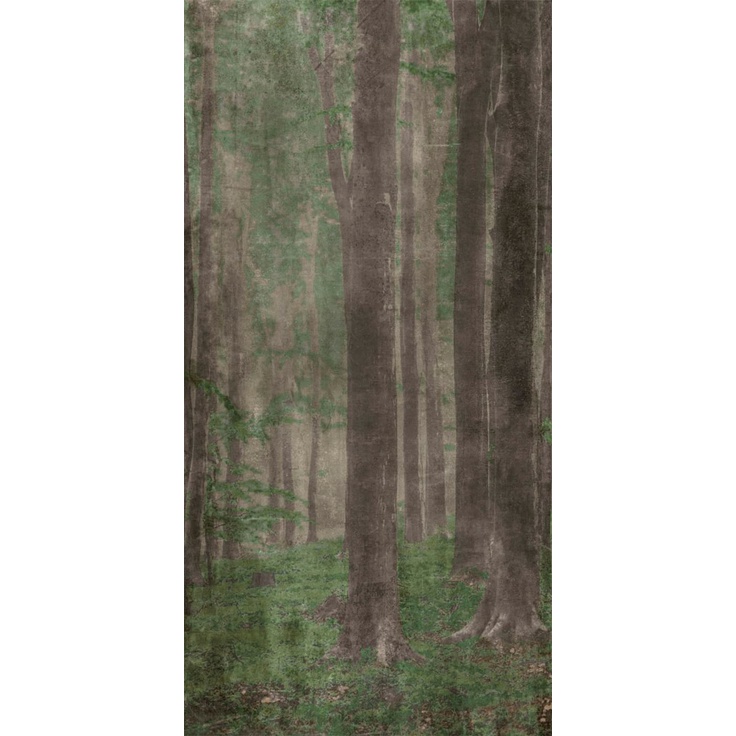 ABK Wide & Style 0007328 Woods A 160x320 матовая