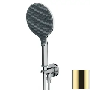 Душевой комплект Bossini CE3001C021 лейка 140мм, шланг, подключение с держателем, золото