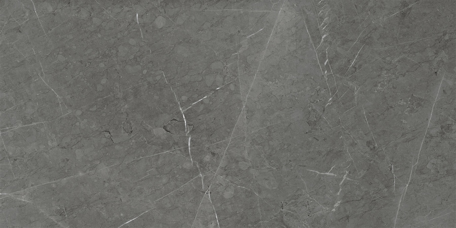 Skala Dark Grey. 60X120 матовая