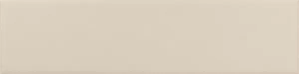 Costa Nova Beige Pale 20X5 матовая