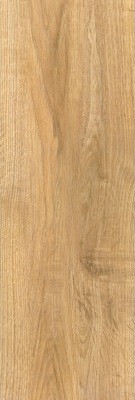 Calacatta Quercia Natural Rett Glossy 75X25