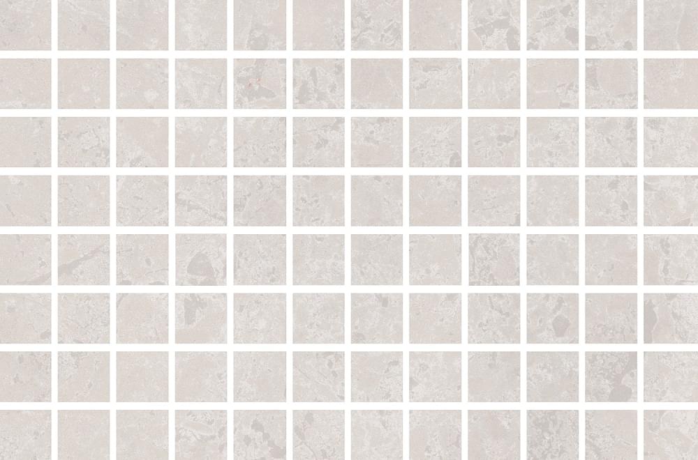 мозаика Ферони Декор Мозаичный Серый Светлый Матовый 20x30