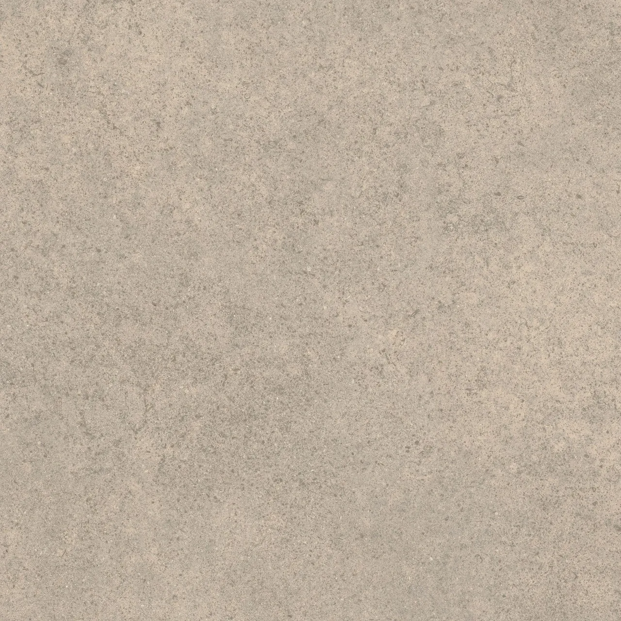 Forte Dei Marmi Rock Moleanos Cream Matt 120x120 матовая