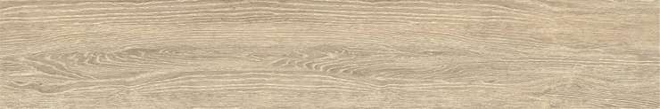 Porcelain Tile Zc 1223091 Rect. 20x120 матовая
