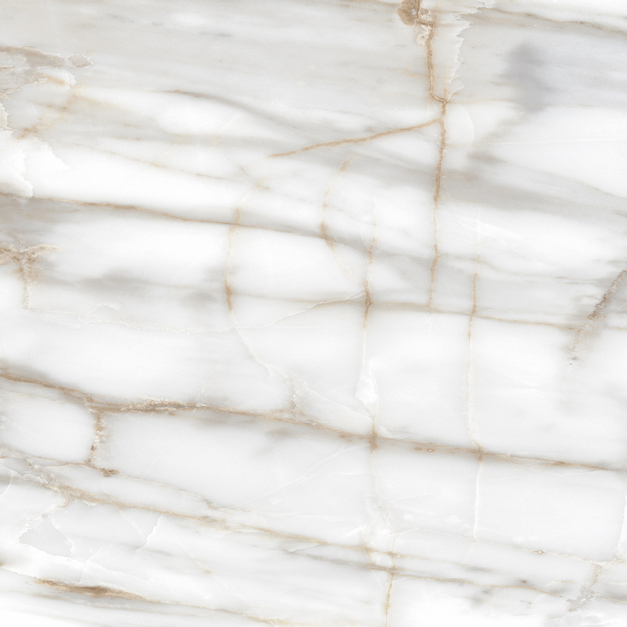 Venato Gold Pulido 80X80 