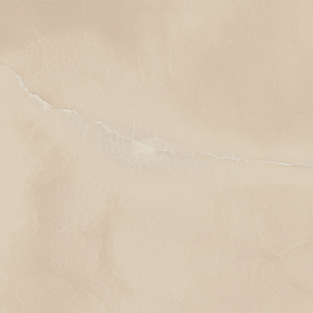 Charme Evo Onyx 60X60 матовая