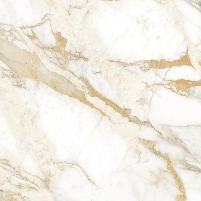 Calacatta Oro Gold Polished 60x60 полированная