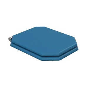 Сиденье для унитаза Caprigo Tempo с микролифтом, дерево, эмаль blue lucido/хром KFe-47C-B078