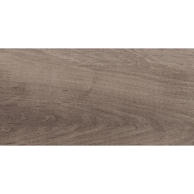 Plant Brown 20x40 матовая