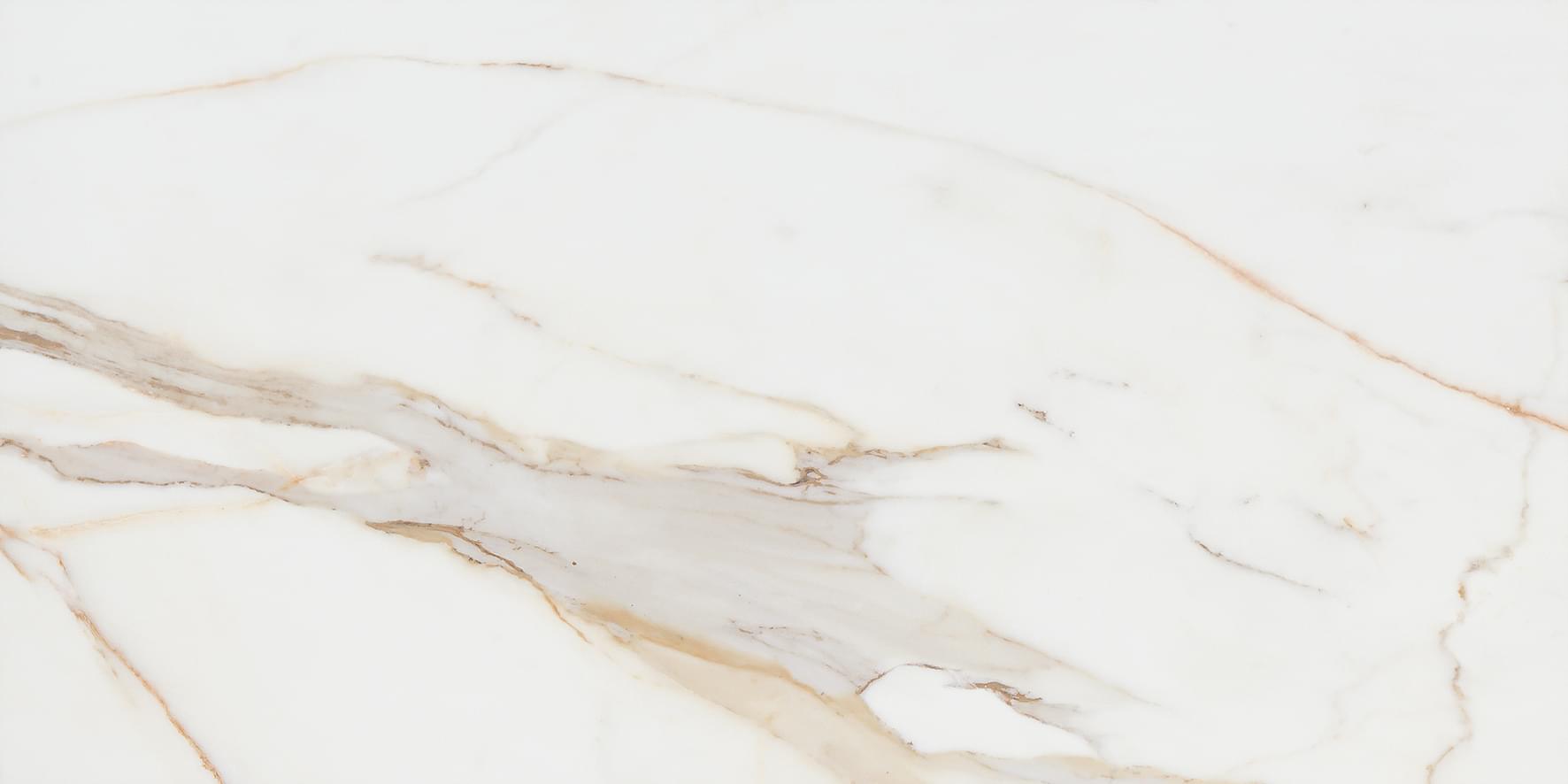 фон Calacatta Gold Matt 60x120