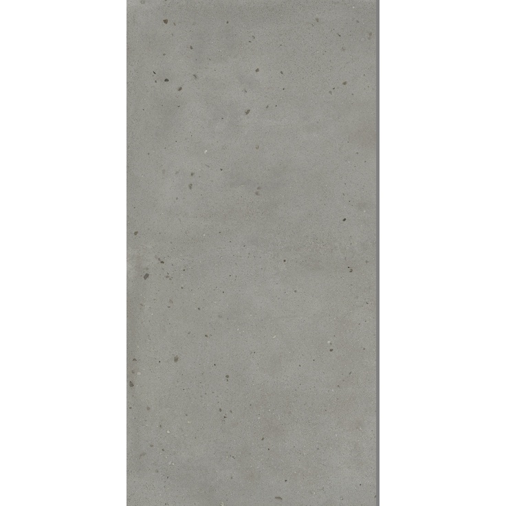 Avantgarde Iron 60x120 матовая