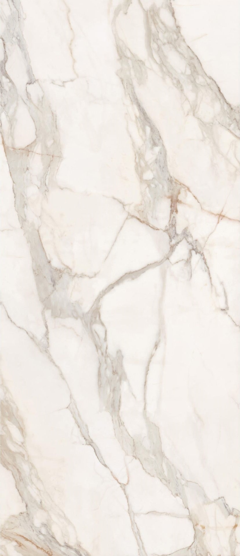 Purity Marble Calacatta Lux 278X120 полированная