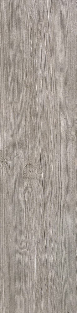 Axi Silver Fir 22,5x90 матовая