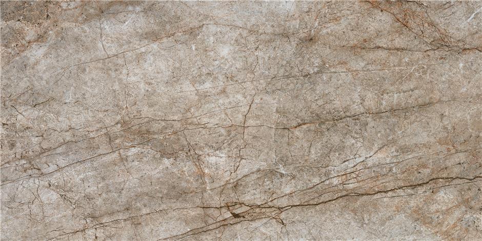 фон Rain Forest Natural Pulido 59x119