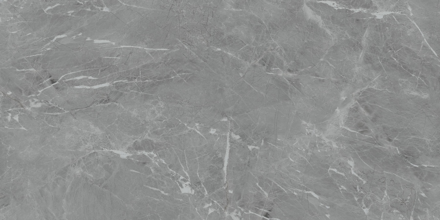 Eva Gris Polished 60X120 полированная